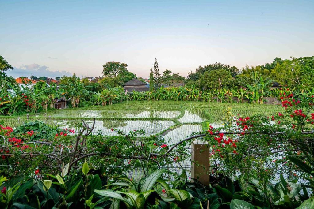 Villa Mimpi Nyata Canggu Esterno foto