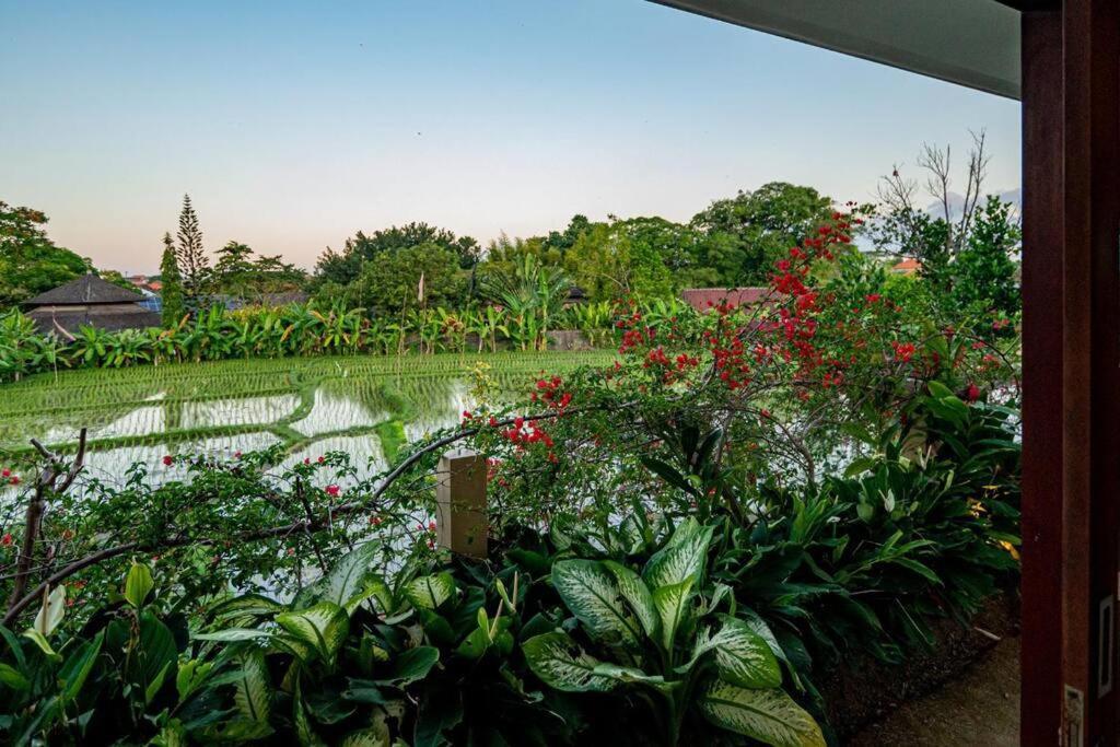 Villa Mimpi Nyata Canggu Esterno foto